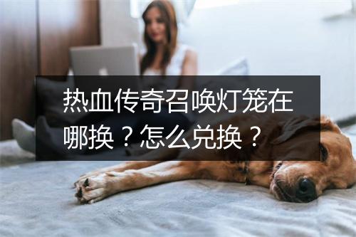 热血传奇召唤灯笼在哪换？怎么兑换？