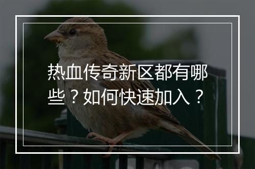 热血传奇新区都有哪些？如何快速加入？