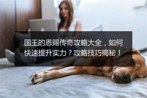 国王的恩赐传奇攻略大全，如何快速提升实力？攻略技巧揭秘！
