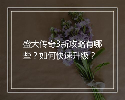盛大传奇3新攻略有哪些？如何快速升级？