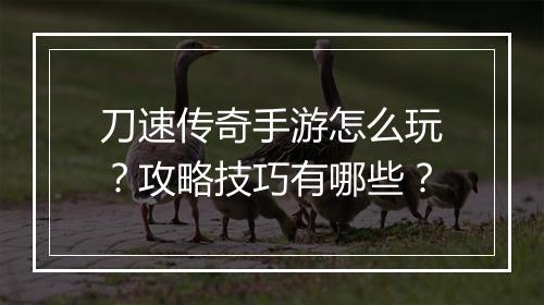 刀速传奇手游怎么玩？攻略技巧有哪些？