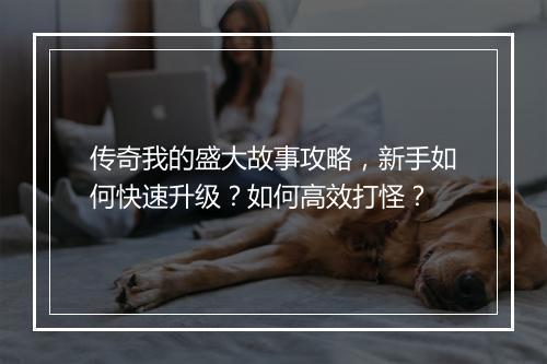 传奇我的盛大故事攻略，新手如何快速升级？如何高效打怪？
