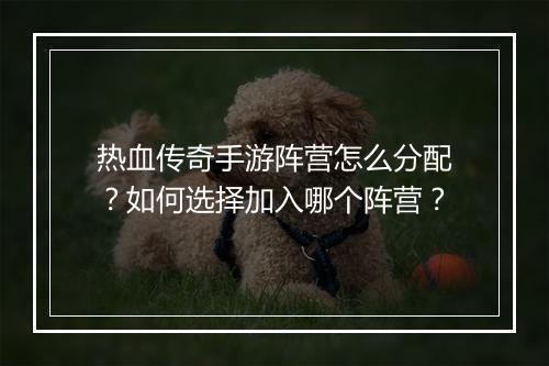 热血传奇手游阵营怎么分配？如何选择加入哪个阵营？