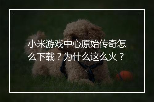 小米游戏中心原始传奇怎么下载？为什么这么火？