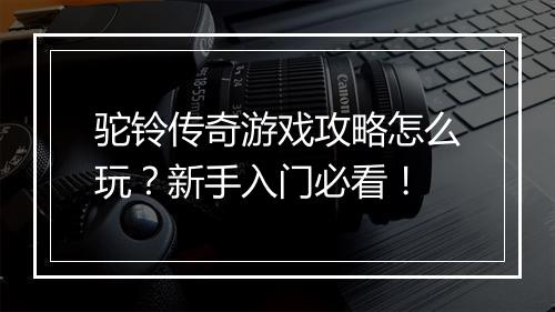 驼铃传奇游戏攻略怎么玩？新手入门必看！