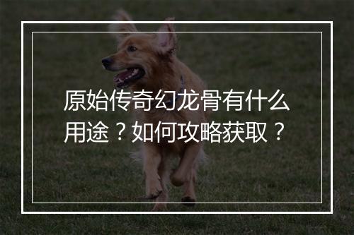 原始传奇幻龙骨有什么用途？如何攻略获取？