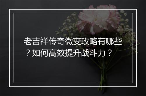 老吉祥传奇微变攻略有哪些？如何高效提升战斗力？