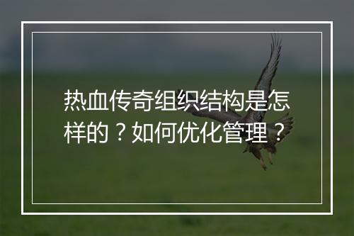 热血传奇组织结构是怎样的？如何优化管理？