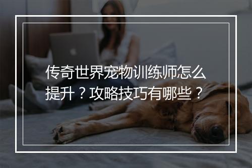 传奇世界宠物训练师怎么提升？攻略技巧有哪些？