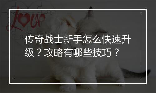传奇战士新手怎么快速升级？攻略有哪些技巧？