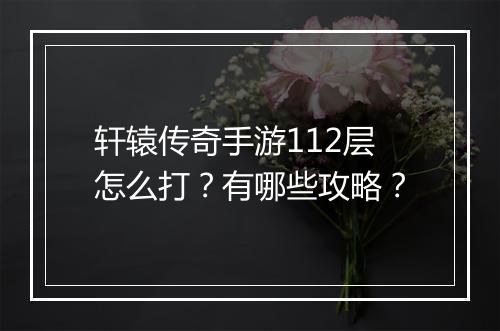 轩辕传奇手游112层怎么打？有哪些攻略？