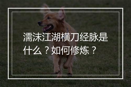 濡沫江湖横刀经脉是什么？如何修炼？
