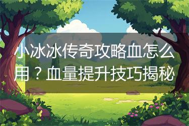 小冰冰传奇攻略血怎么用？血量提升技巧揭秘