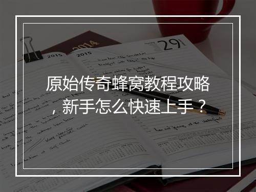 原始传奇蜂窝教程攻略，新手怎么快速上手？