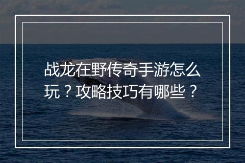 战龙在野传奇手游怎么玩？攻略技巧有哪些？