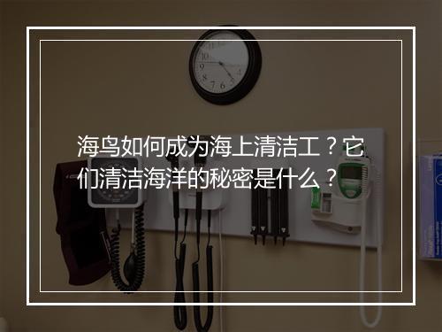 海鸟如何成为海上清洁工？它们清洁海洋的秘密是什么？