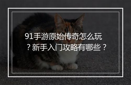 91手游原始传奇怎么玩？新手入门攻略有哪些？