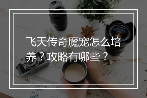 飞天传奇魔宠怎么培养？攻略有哪些？