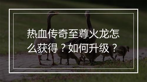 热血传奇至尊火龙怎么获得？如何升级？