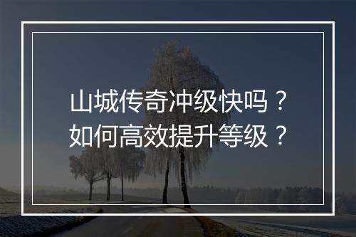 山城传奇冲级快吗？如何高效提升等级？