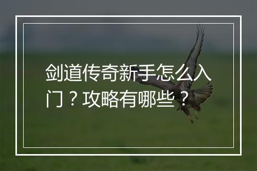剑道传奇新手怎么入门？攻略有哪些？