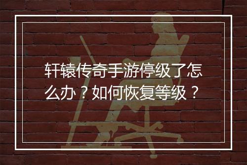 轩辕传奇手游停级了怎么办？如何恢复等级？