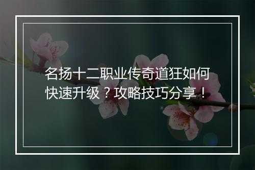 名扬十二职业传奇道狂如何快速升级？攻略技巧分享！