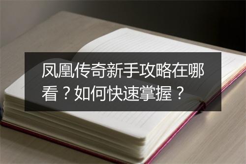 凤凰传奇新手攻略在哪看？如何快速掌握？
