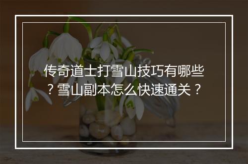 传奇道士打雪山技巧有哪些？雪山副本怎么快速通关？