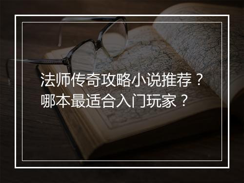 法师传奇攻略小说推荐？哪本最适合入门玩家？