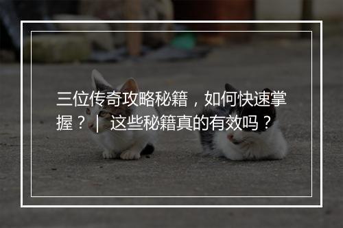 三位传奇攻略秘籍，如何快速掌握？｜ 这些秘籍真的有效吗？