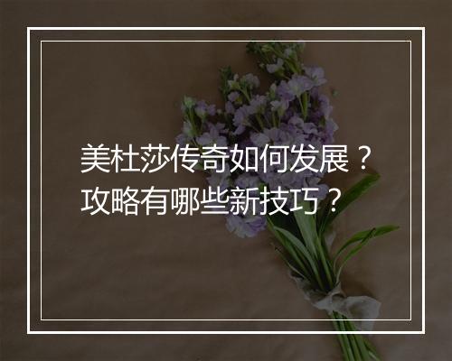 美杜莎传奇如何发展？攻略有哪些新技巧？