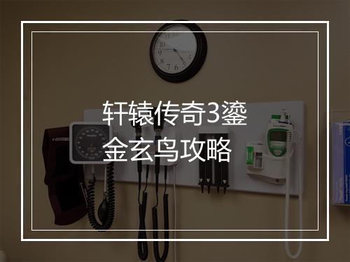 轩辕传奇3鎏金玄鸟攻略