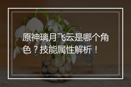 原神璃月飞云是哪个角色？技能属性解析！