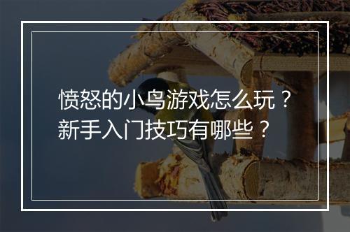 愤怒的小鸟游戏怎么玩？新手入门技巧有哪些？