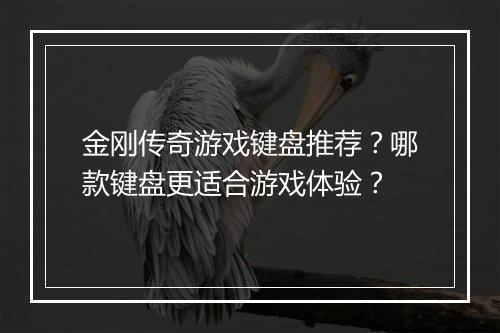 金刚传奇游戏键盘推荐？哪款键盘更适合游戏体验？
