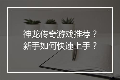 神龙传奇游戏推荐？新手如何快速上手？