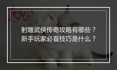 射雕武侠传奇攻略有哪些？新手玩家必看技巧是什么？