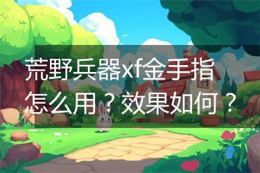 荒野兵器xf金手指怎么用？效果如何？