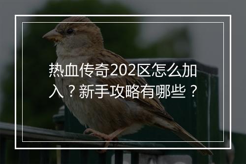热血传奇202区怎么加入？新手攻略有哪些？