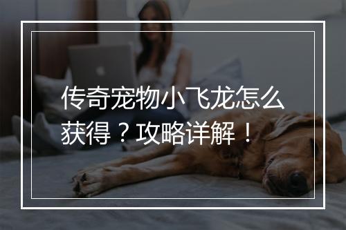 传奇宠物小飞龙怎么获得？攻略详解！