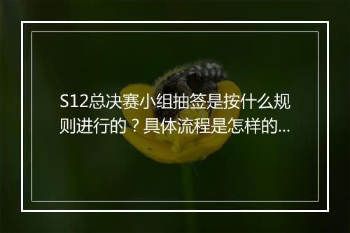 S12总决赛小组抽签是按什么规则进行的？具体流程是怎样的？
