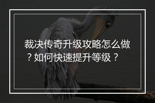 裁决传奇升级攻略怎么做？如何快速提升等级？