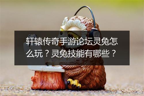 轩辕传奇手游论坛灵兔怎么玩？灵兔技能有哪些？
