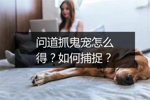 问道抓鬼宠怎么得？如何捕捉？