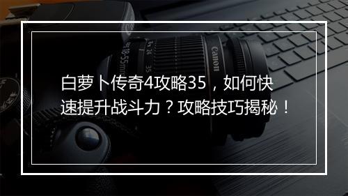 白萝卜传奇4攻略35，如何快速提升战斗力？攻略技巧揭秘！