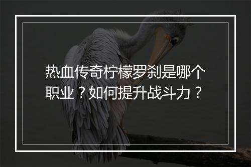热血传奇柠檬罗刹是哪个职业？如何提升战斗力？