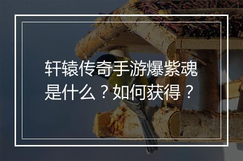 轩辕传奇手游爆紫魂是什么？如何获得？