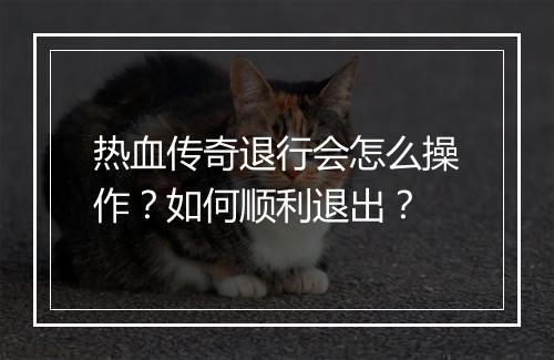 热血传奇退行会怎么操作？如何顺利退出？