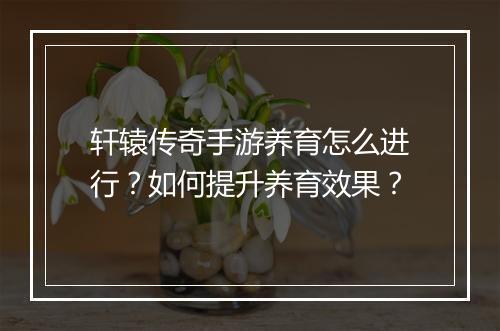 轩辕传奇手游养育怎么进行？如何提升养育效果？